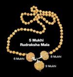 Rudraksha Combination for Females in Business 6,8,9 Mukhi Nepal in Rudraksha Mala