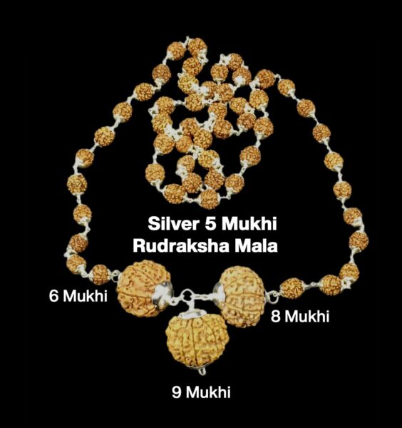 Rudraksha Combination for Females in Business 6,8,9 Mukhi Nepal in Silver Mala