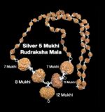 Rudraksha Combination for Business Power (Executives & Businessmen) 7,7,8,11,12 Mukhi Nepal in Silver Mala