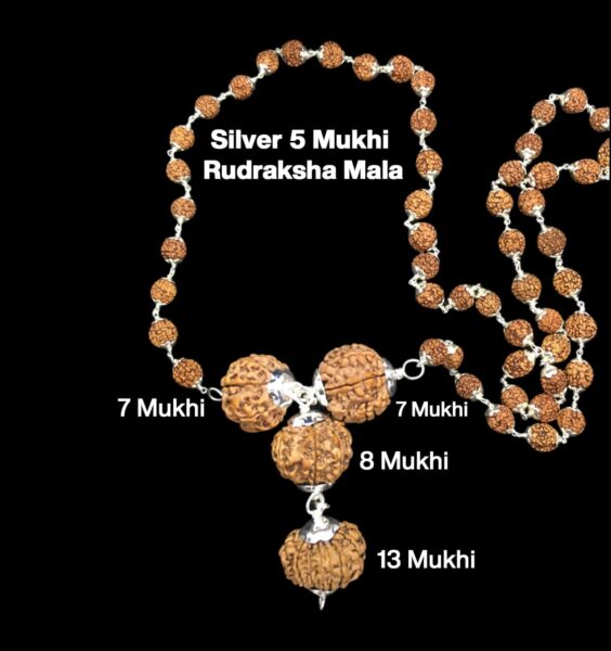 Rudraksha Combination for Business Power (Marketing & Trading) 7,7,8,13 Mukhi Nepal in Silver Mala
