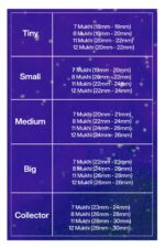 Rudraksha Combination for Business Power (Executives & Businessmen) 7,7,8,11,12 Mukhi Nepal in Silver Chain - Image 2