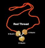 Rudraksha Combination for Business 6,8,12 Mukhi Nepal in Silver Pendant