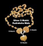 Rudraksha Combination for Business 6,8,12 Mukhi Nepal in Silver Mala