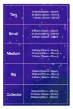 Rudraksha Combination for Total Protection 9,10,11 Mukhi Nepal in Silver Bracelet - Image 2