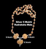 Rudraksha Combination for Doctors 4,9,12 Mukhi Nepal in Silver Mala