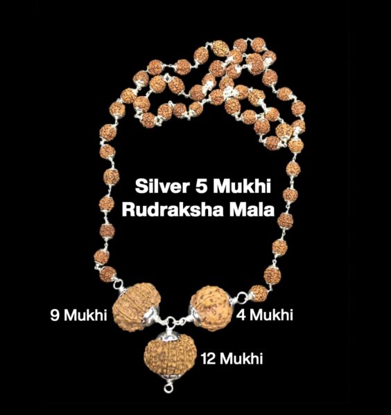 Rudraksha Combination for Doctors 4,9,12 Mukhi Nepal in Silver Mala