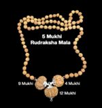 Rudraksha Combination for Doctors 4,9,12 Mukhi Nepal in Rudraksha Mala
