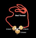 Rudraksha Combination for Doctors 4,9,12 Mukhi Nepal in Silver Pendant