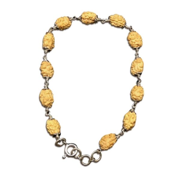 2 Mukhi Indonesian Silver Adjustable Bracelet