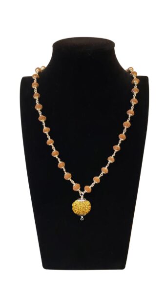 8 Mukhi Nepal Rudraksha Attached In Silver Rudraksha Mala