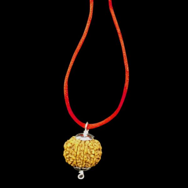 8 Mukhi Nepal Rudraksha In Pure Silver Pendant