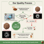 🕉️ 5 Mukhi Nepal Rudraksha – Sacred Bead of Lord Kalagni Rudra for Peace, Health & Protection - Image 7