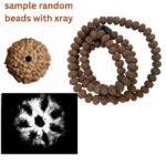 🌼 7 Mukhi Rudraksha Mala – 108+1 Beads (Indonesian Origin, 11–15mm)