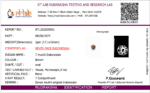 7 Mukhi Indonesian Rudraksha 17mm+ – Lab Certified Full Compartment Bead with X-Ray Certificate | Rudraksha-Store - Image 4